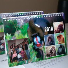 Настольные календари с фотографиями